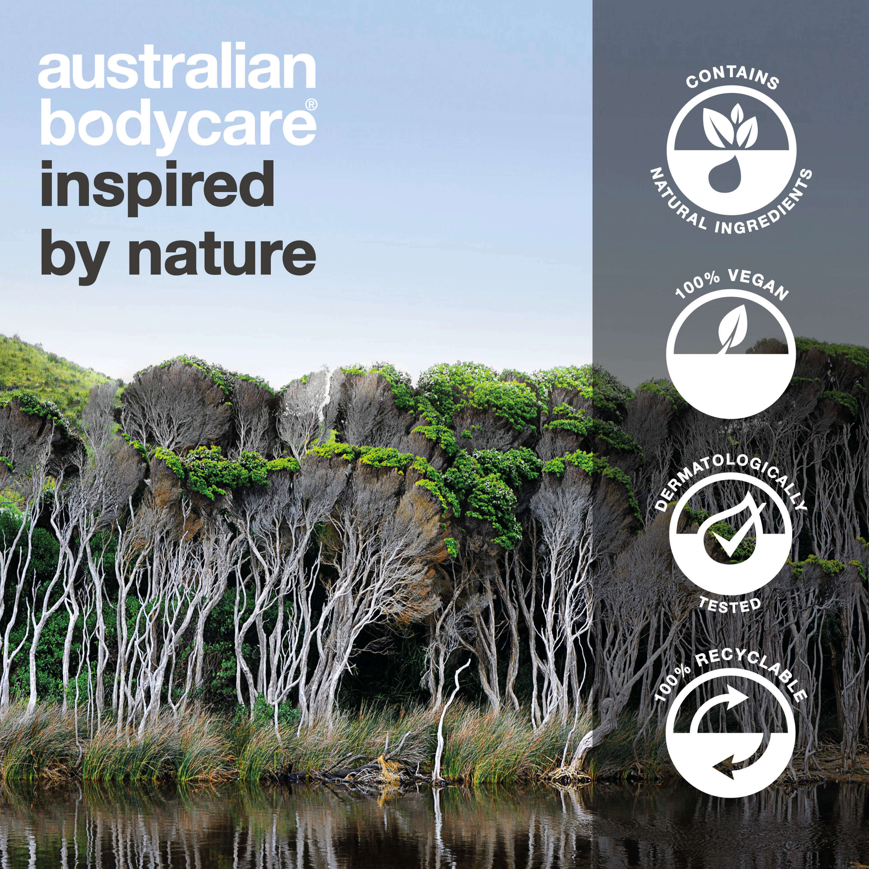 Scrub corpo esfoliante al tea tree per macchie e pelle congestionata - Scrub per la pulizia profonda con olio di tea tree naturale al 100%, anche per uso intimo