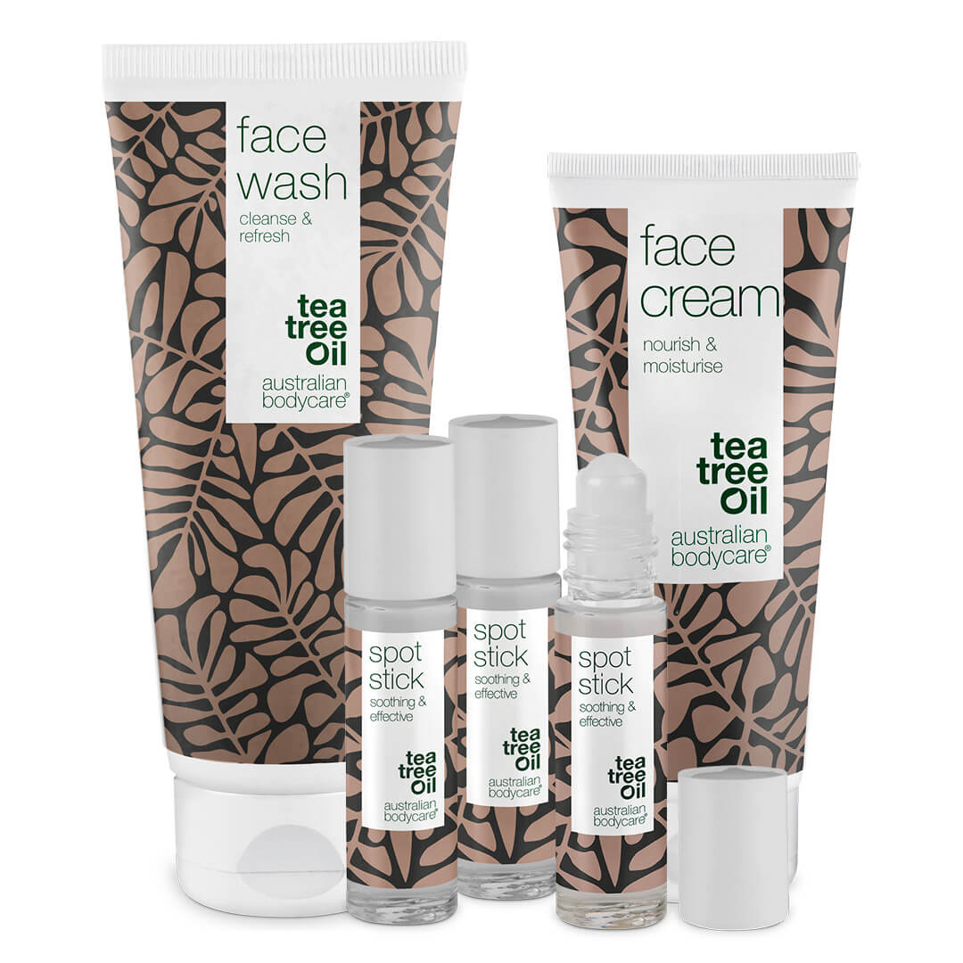 Kit XL di prodotti viso per brufoli e pelle impura - Detergente viso in formato grande, crema idratante e pacco da 3 Spot Stick per brufoli e pelle grassa