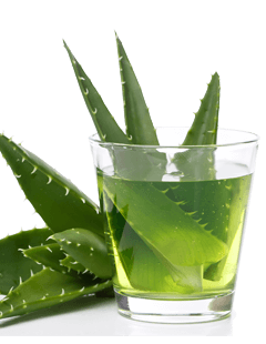 Aloe vera da bere