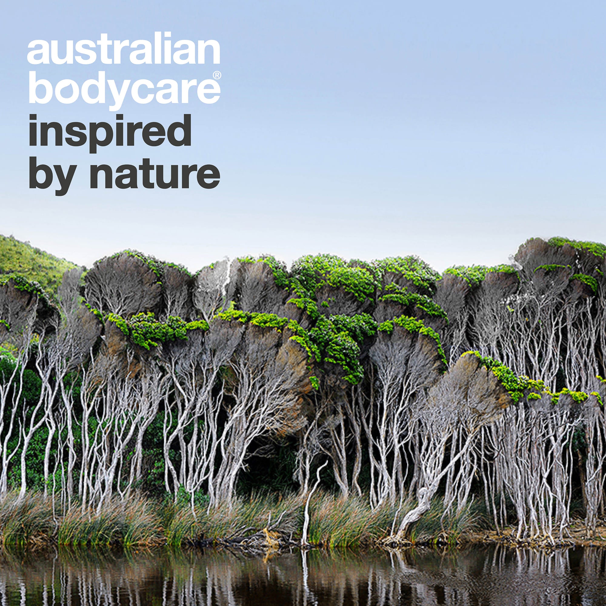 Australian Bodycare – inspired by nature: paesaggio australiano con tea tree