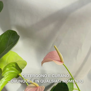 Primo piano di una mano che apre una salvietta facciale morbida e umida, infusa con Tea Tree Oil, e la passa delicatamente sulla pelle per rimuovere trucco, sebo e impurità—evidenziando la texture delicata e l’effetto rinfrescante e lenitivo, adatto a pelli da sensibili a grasse.