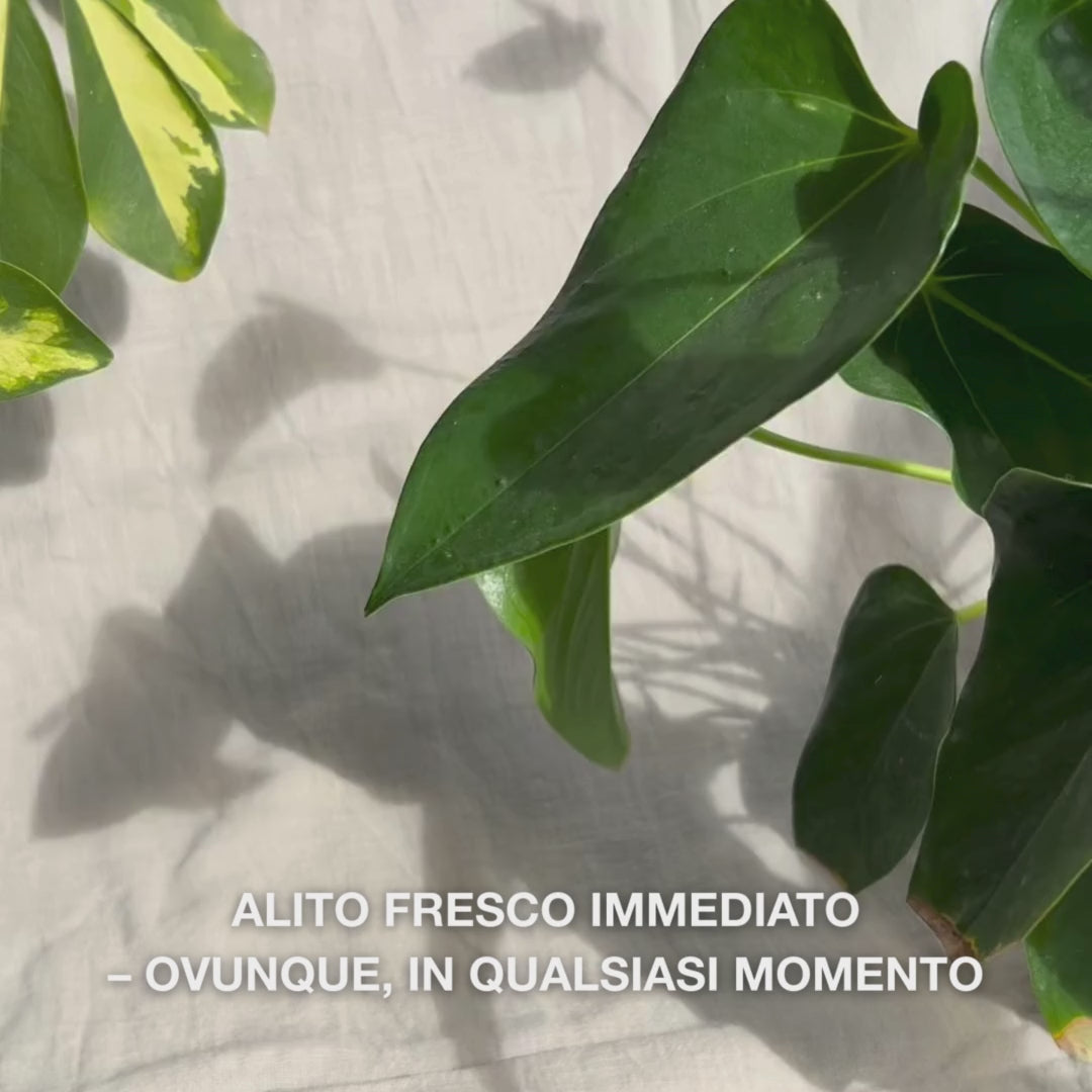 Primo piano di una mano che agita delicatamente il flacone compatto dello spray orale e spruzza una fina e idratante nebbia su lingua e gengive: la nebbia leggera e rinfrescante rinfresca istantaneamente l’alito, idrata la bocca secca, lenisce le irritazioni e lascia una sensazione fresca e mentolata.