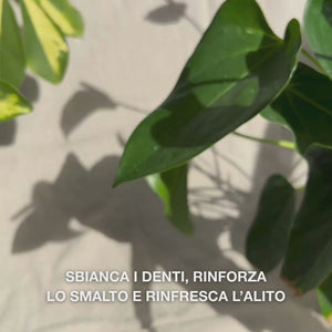 Primo piano di una mano che applica una piccola quantità di dentifricio sbiancante su uno spazzolino e spazza con movimenti circolari: la pasta fine, con silice idratata, allumina e mentolo, rimuove le macchie, rinforza lo smalto e lascia l’alito fresco 