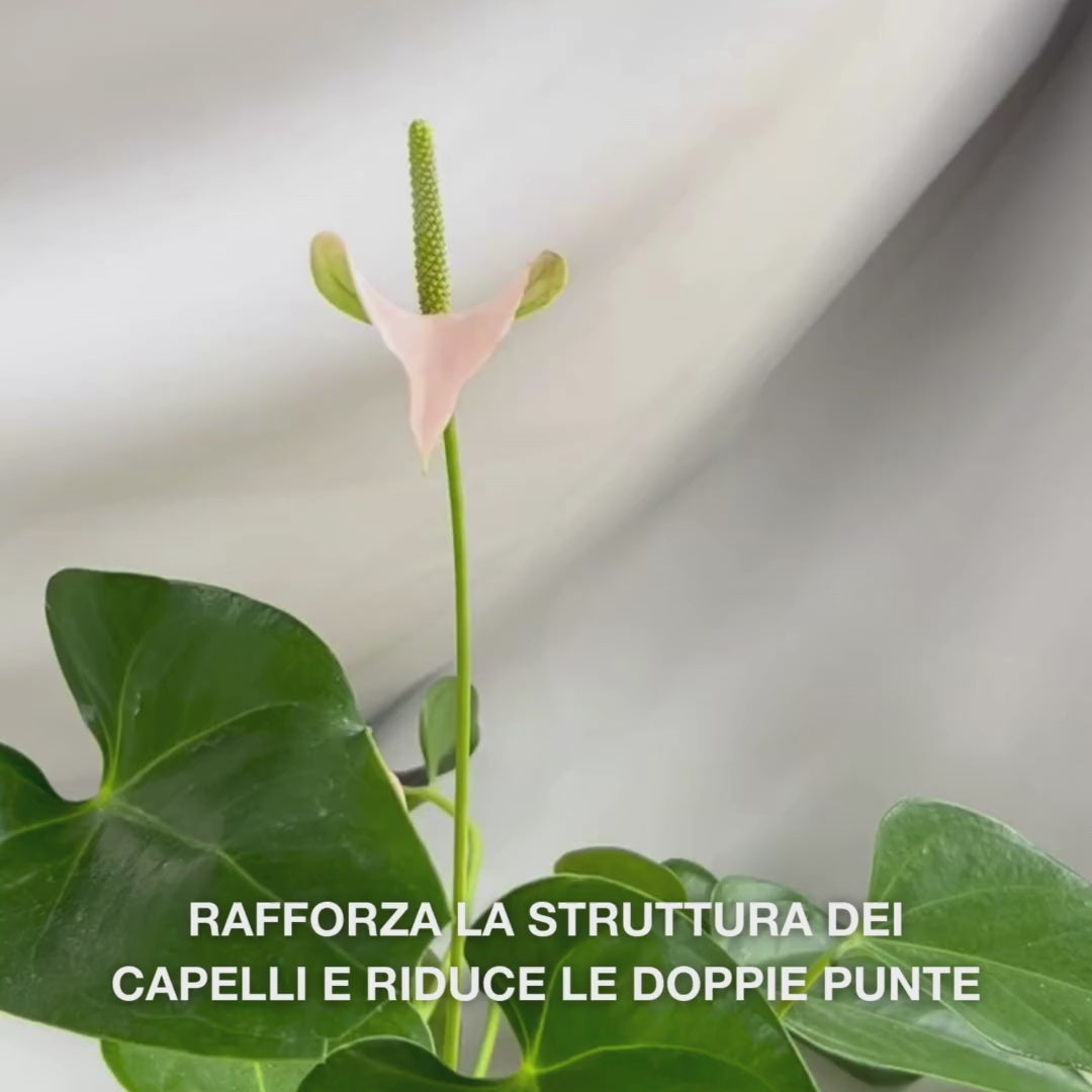 Conditioner Vitamina B12 per capelli danneggiati. Effetto bond che ripara e rinforza. Con Vitamina B12, Pantenolo ed Elaya Renova™.