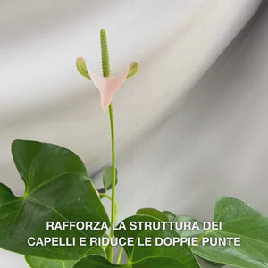 Conditioner Vitamina B12 per capelli danneggiati. Effetto bond che ripara e rinforza. Con Vitamina B12, Pantenolo ed Elaya Renova™.