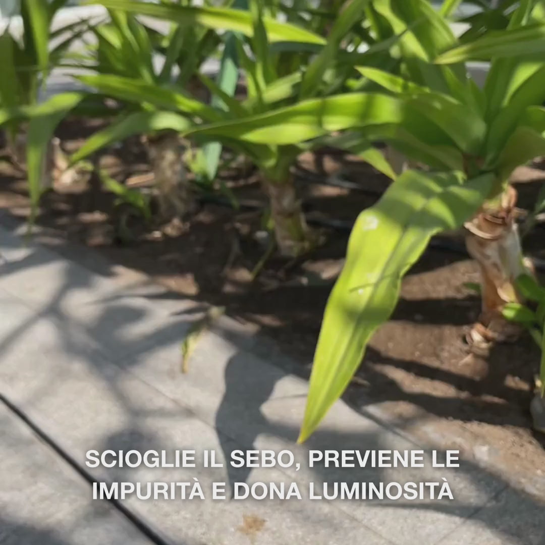 Detergente viso all’acido salicilico – purifica i pori e riduce brufoli e punti neri