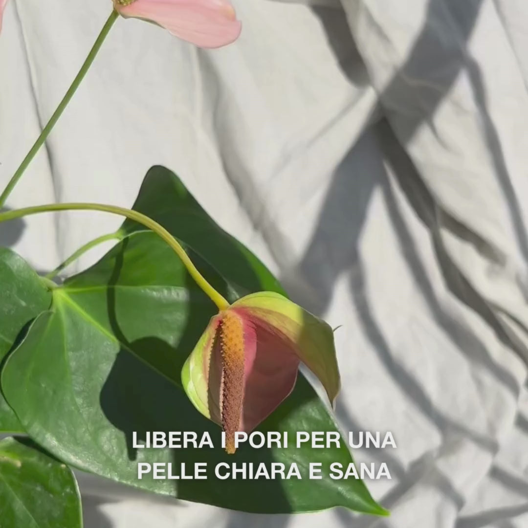 Primo piano di una mano che esegue movimenti circolari con il Face Scrubber, dal morbido setole in silicone, su una pelle del viso leggermente umida: la spazzola flessibile esfolia dolcemente, pulisce in profondità, rimuove impurità e cellule morte, rivelando una texture liscia e luminosa.