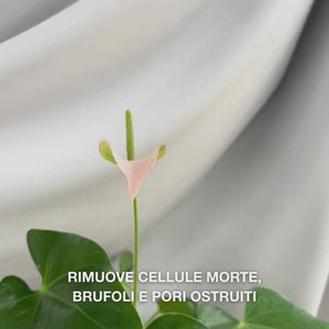 Body Scrub con acido salicilico elimina brufoli e impurità. Con acido salicilico, acido glicólico e allantoina.